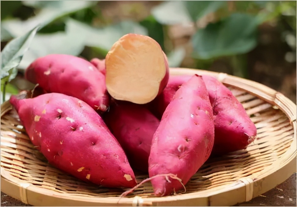 晒红薯干要不要削皮,晒红薯干防止变黑