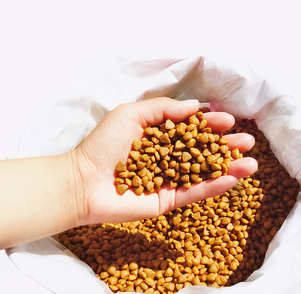 幼犬狗粮是不是智商税,狗狗吃狗粮和肉哪个划算