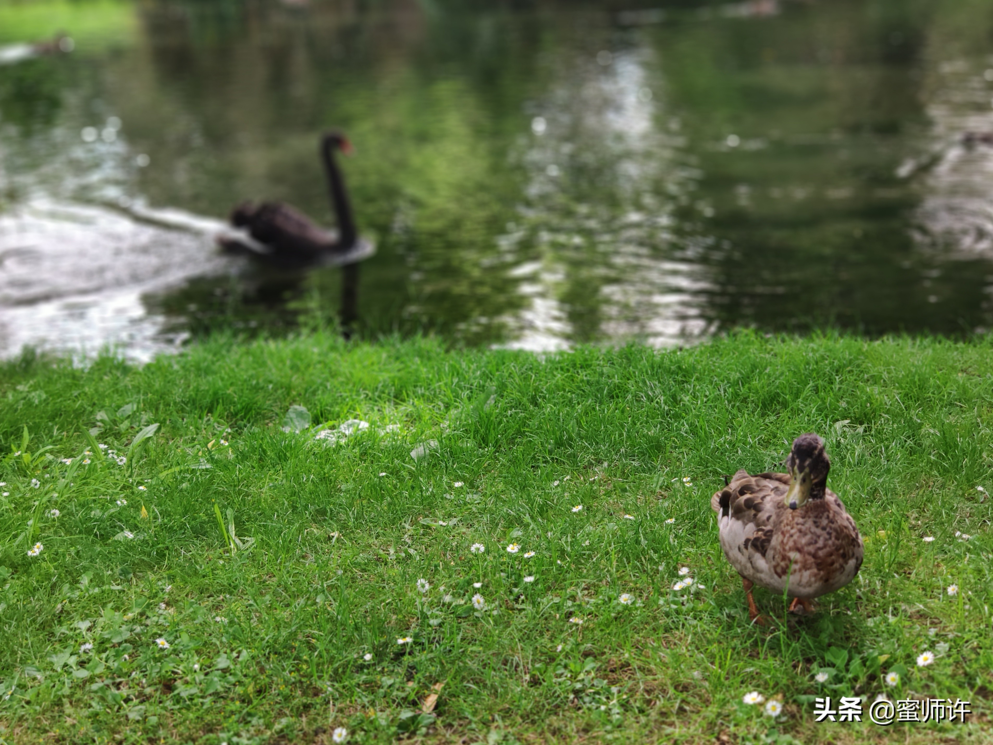 新西兰南北岛11日精美之旅,新西兰南北岛10天