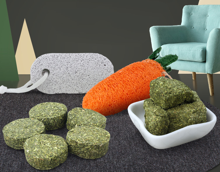 宫崎骏龙猫抱着小龙猫 (有一种可爱叫宫崎骏眼里的龙猫)