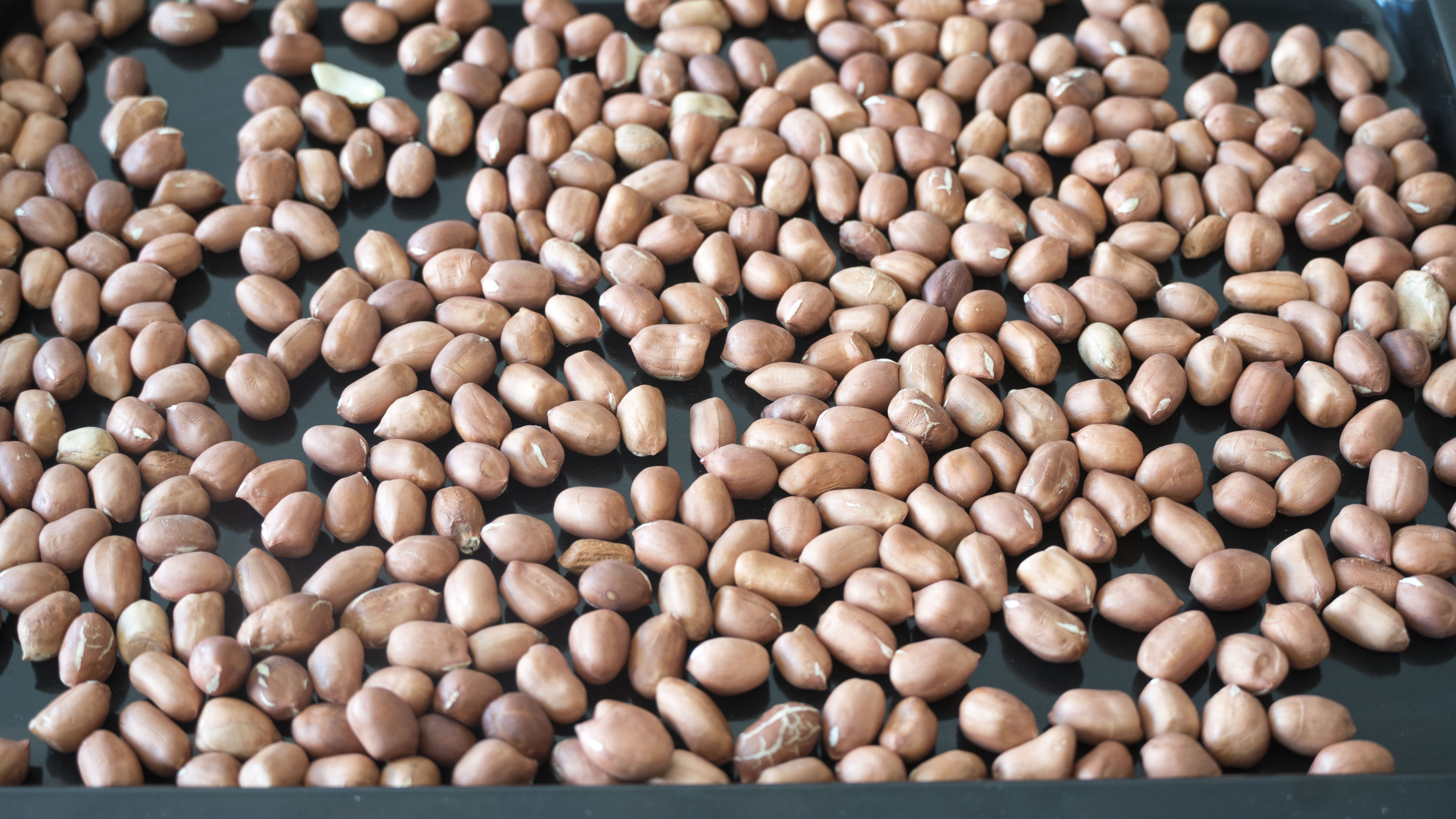 哪种海参有补钙效果,最补钙的食物其实是它