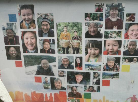 巫山县脆李基地项目,巫山脆李产业