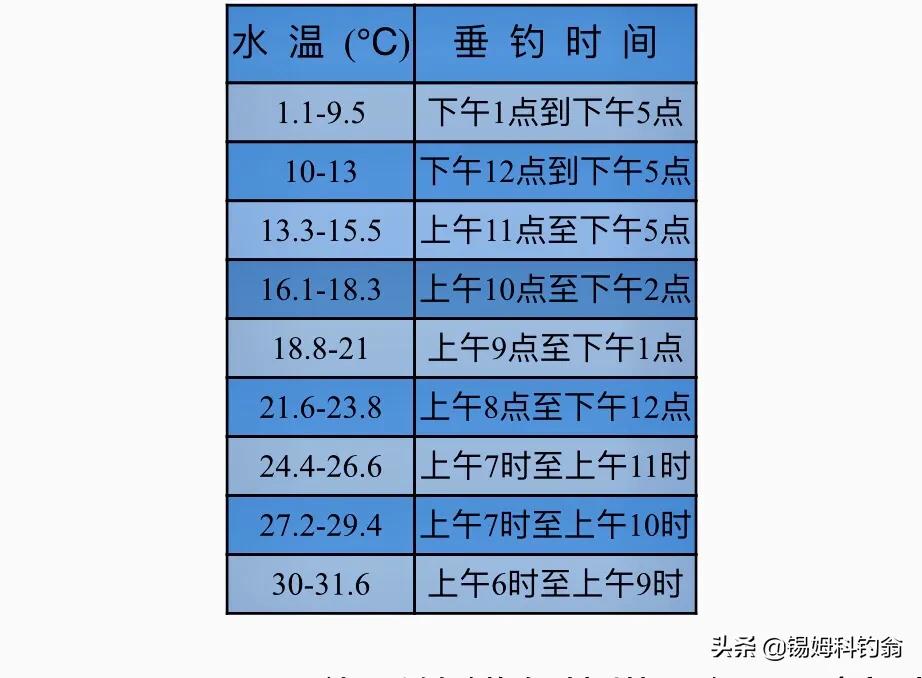 钓三文鱼视频野钓,三文鱼夏季淡水钓法