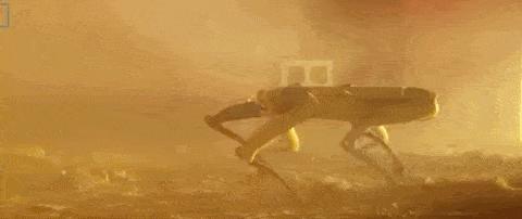 50万一只的波士顿机器狗,中国购买的波士顿机器狗