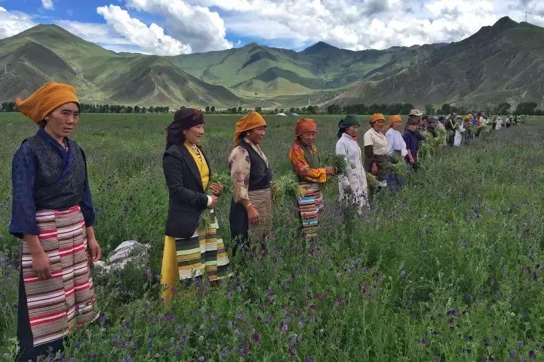 补贴来了苹果,惠民补贴未通过一卡通发放问题