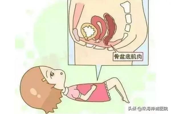 产后修复盆底肌的最佳时期,产后盆底肌什么时候可以修复