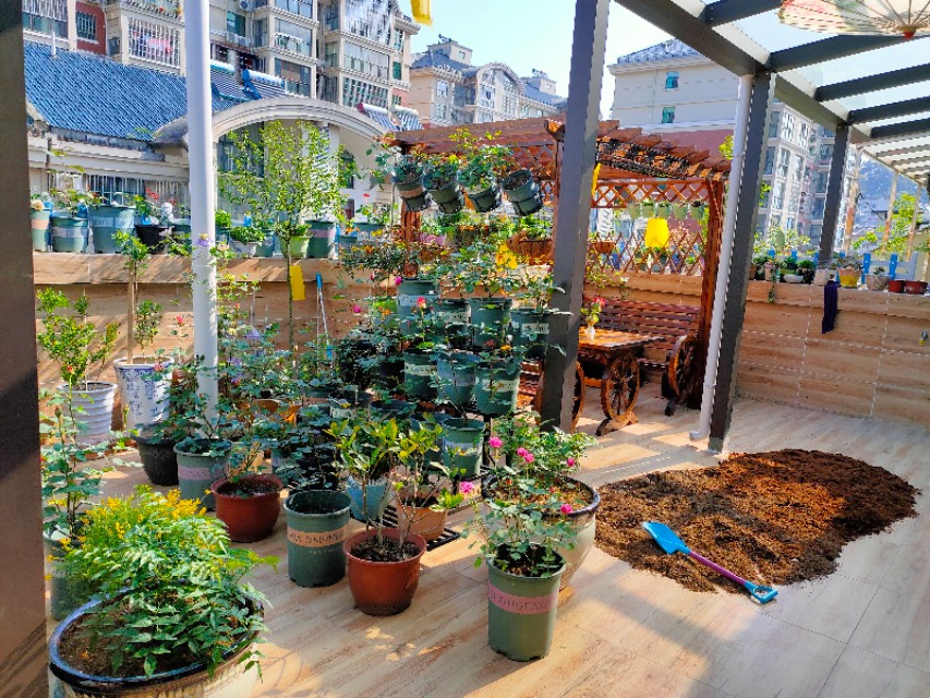 不用木头自制花架最简单的方法,请教DIY高手如何自制花架