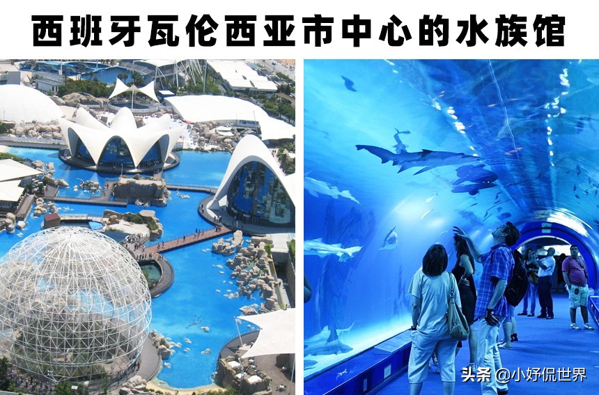 全球最大的三个大型水族馆,世界最著名的淡水水族馆