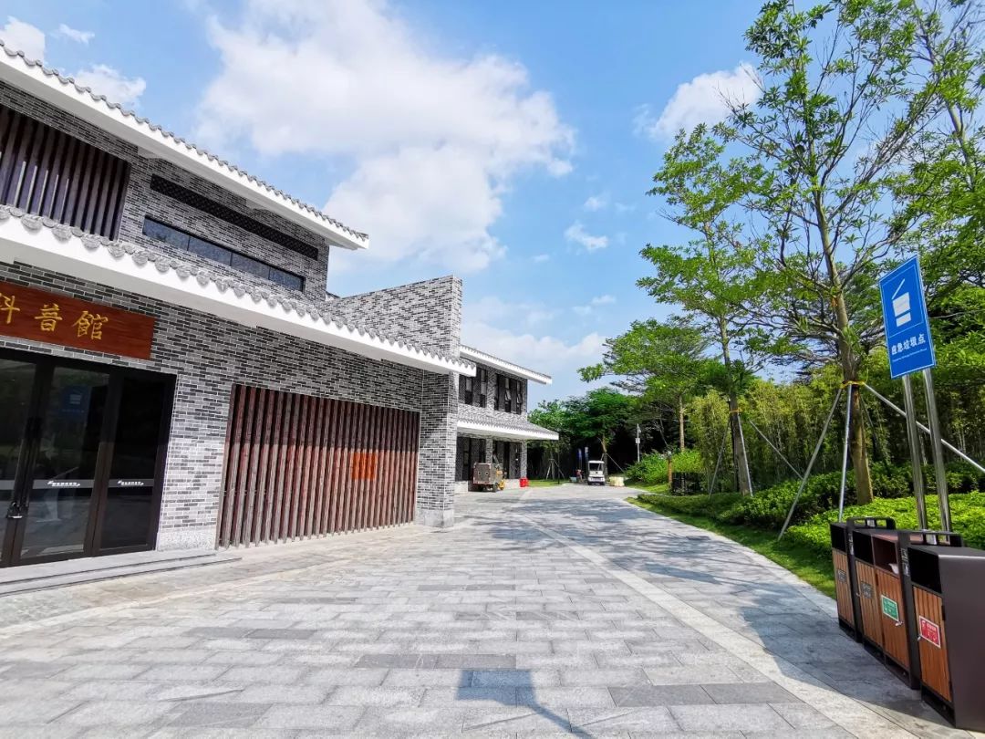 深圳最美簕杜鹃谷公园花海,宝安区花海赏花景点