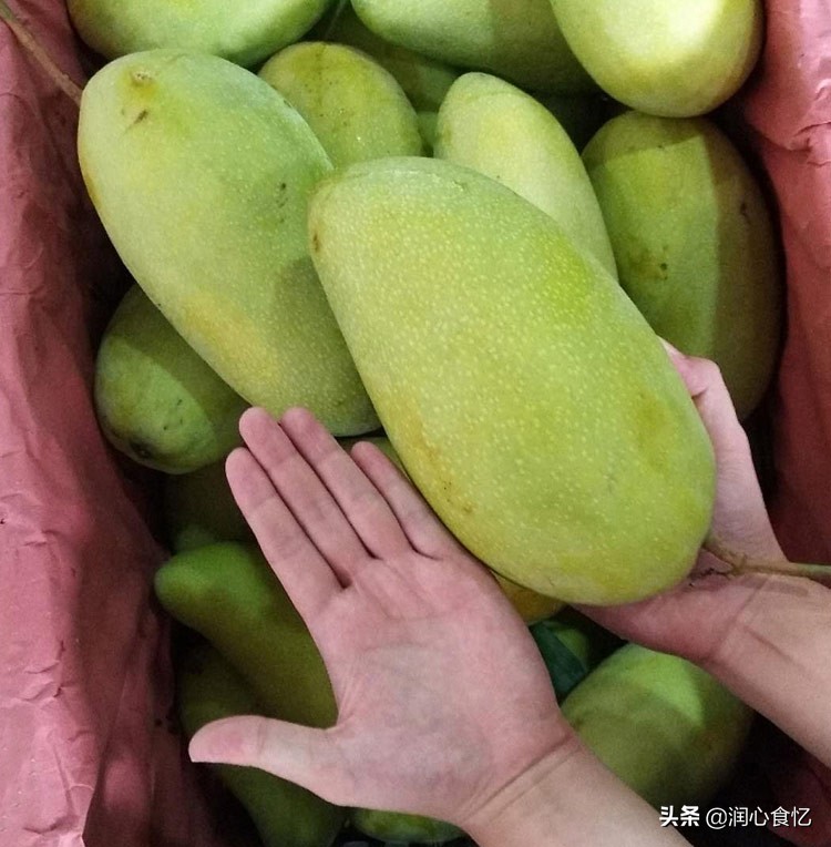 大青芒放成什么样才能吃,大青芒怎么才能分辨出来熟没熟