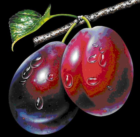 大年初三群相册，有群的都看看，太美了，这辈子见一次值了