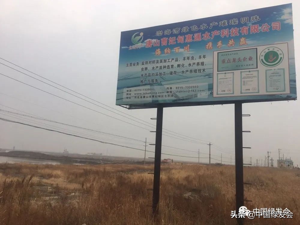 被拆湿地公园,曹妃甸湿地保护区在哪里