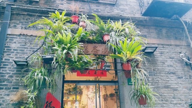 上海3天2夜旅游攻略最新,上海四天五夜旅游全攻略