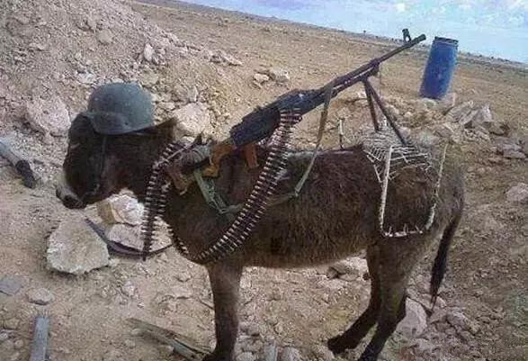 弓弩射火箭弹、煤气罐炮、钢管大狙,细数各种DIY*器武**