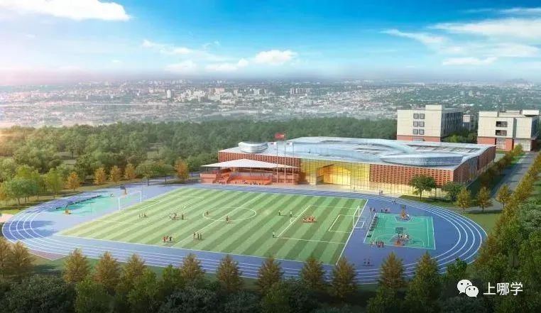 上海2020新增学位,上海各大学2024新增学位点