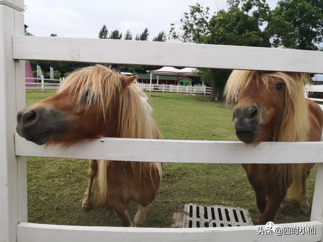 极简风网红民宿,8家网红民宿推荐