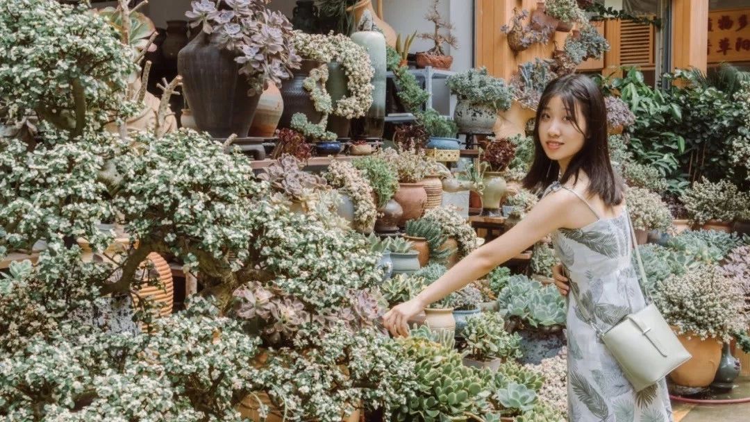 深圳游玩好去处攻略,深圳7个自驾游免费好去处推荐