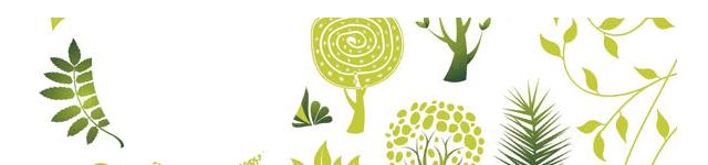 有机食品为何如此受欢迎,真正的有机食品在哪里