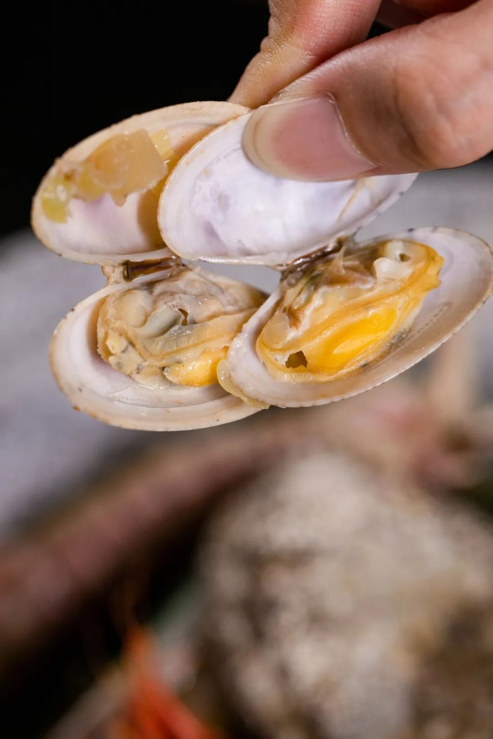 国潮自助东海,国潮风海鲜自助餐