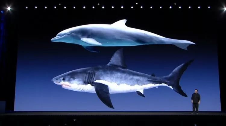 罗永浩发布会ppt教程,罗永浩说新品发布