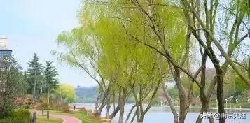 南京入选全国首批试点,南京试点街区