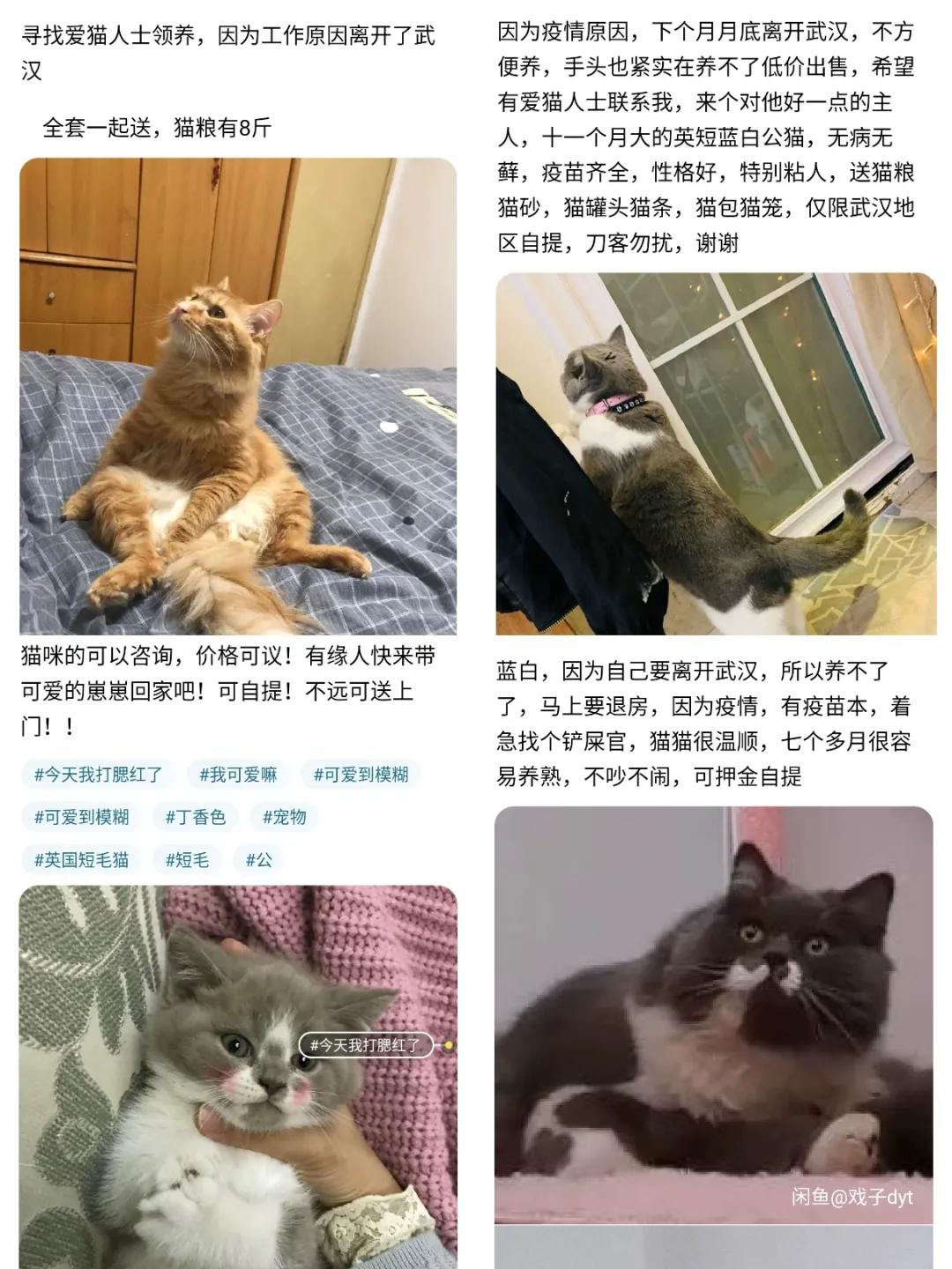 我在闲鱼看到最赤裸的武汉