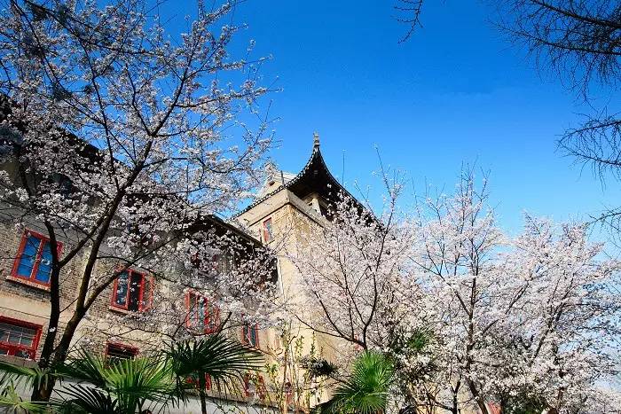 武汉最新最火的小吃一条街,武汉有一条街火了