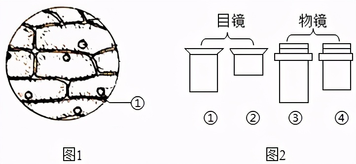 临沂市生物实验操作考试视频,临沂物理实验操作考试试题