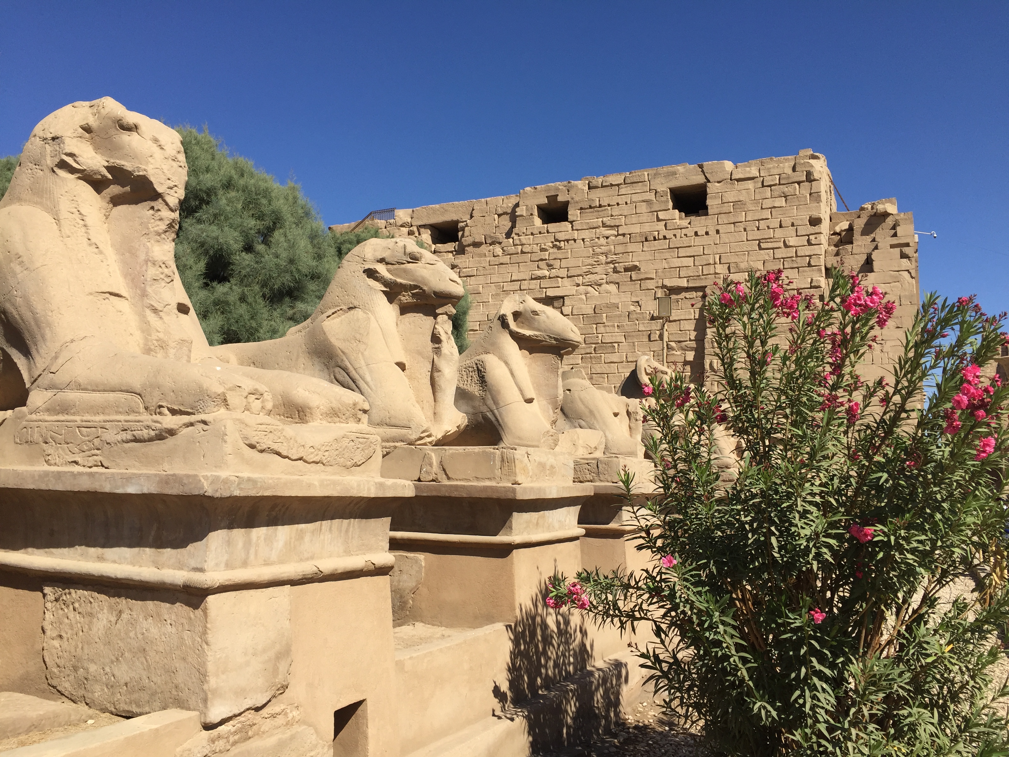 尼罗河畔古埃及文明,尼罗河畔的古埃及妇女