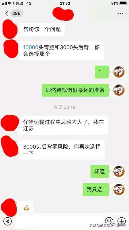 如果现在有育肥1万头和后备3000头两个项目,你会选哪个?