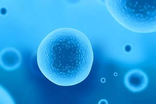 吃什么能促进卵泡的生长和排出,如何促进卵泡生长有效方法大揭秘