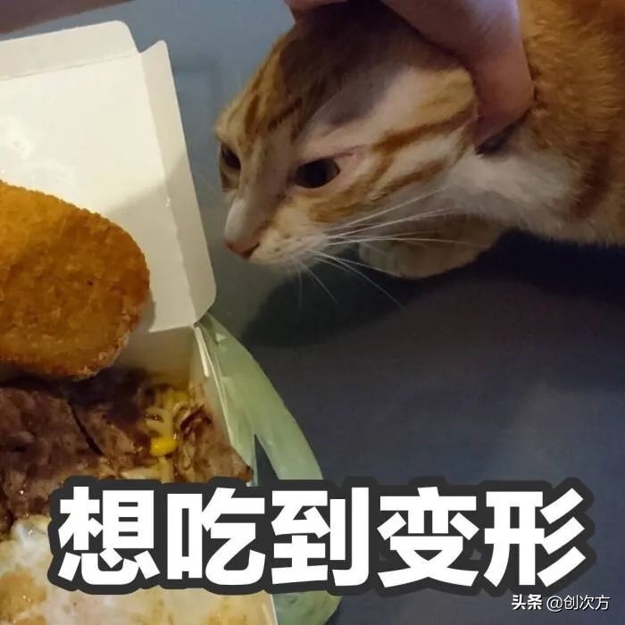 方便携带折叠烧烤炉架,可折叠烧烤架80cm