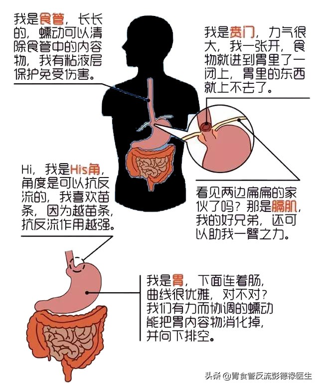 胸口半夜灼烧感疼啥原因,夜里胸口痛无法入眠怎么办