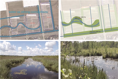 盘锦郊野公园图片,盘锦郊野公园什么时候开工