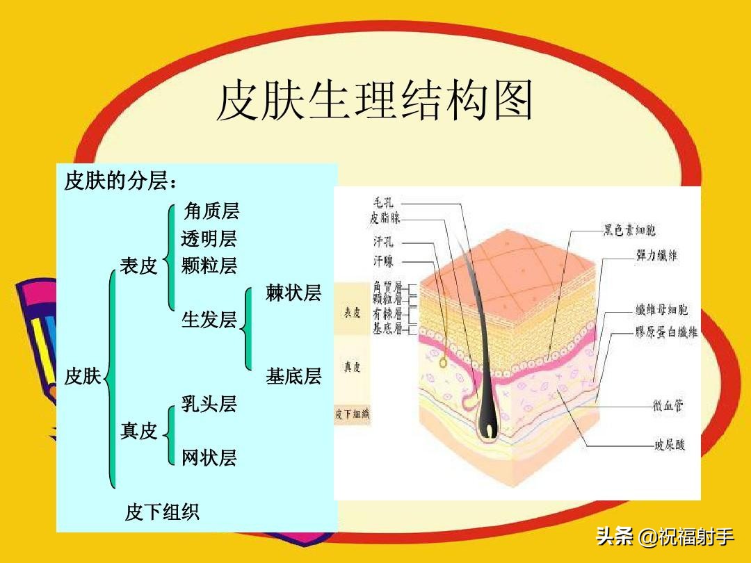 安全有效美容,最有效安全无副作用的美容方式