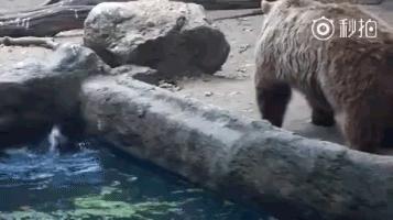 特别搞笑的收藏照片,值得收藏的gif动图