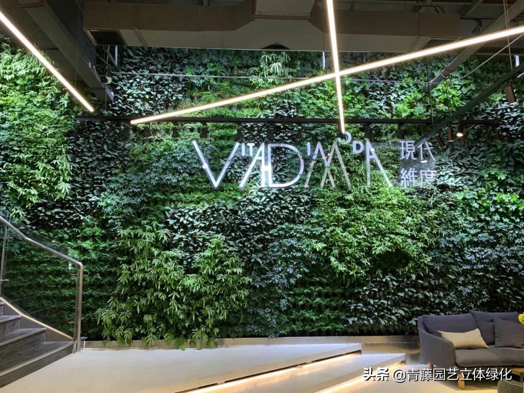 植物墙软装装饰设计,软装墙和植物墙怎么融合