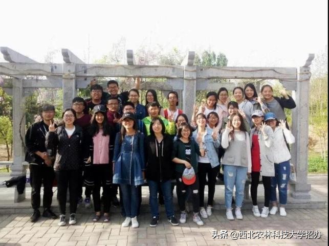 一所大学就是一座城！让你爱上西北农林科技大学的5大理由