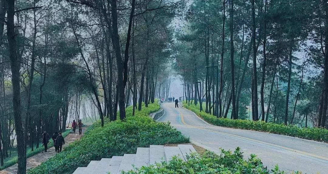 巴适自驾旅游攻略,巴适小众公园