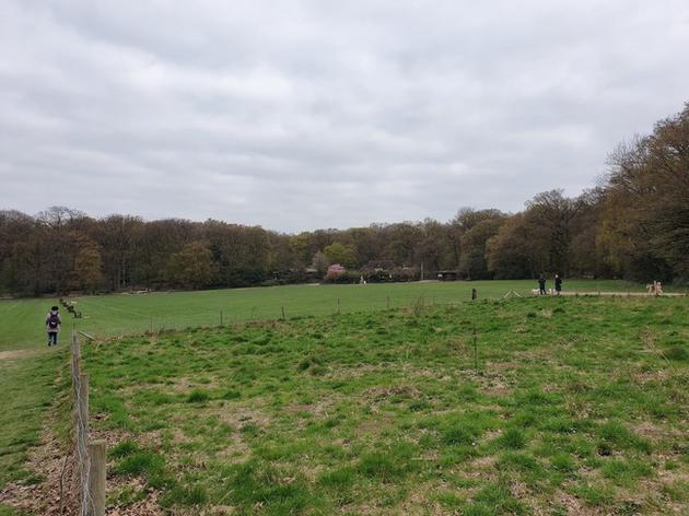 外媒华为p30pro,华为p30pro深度评价