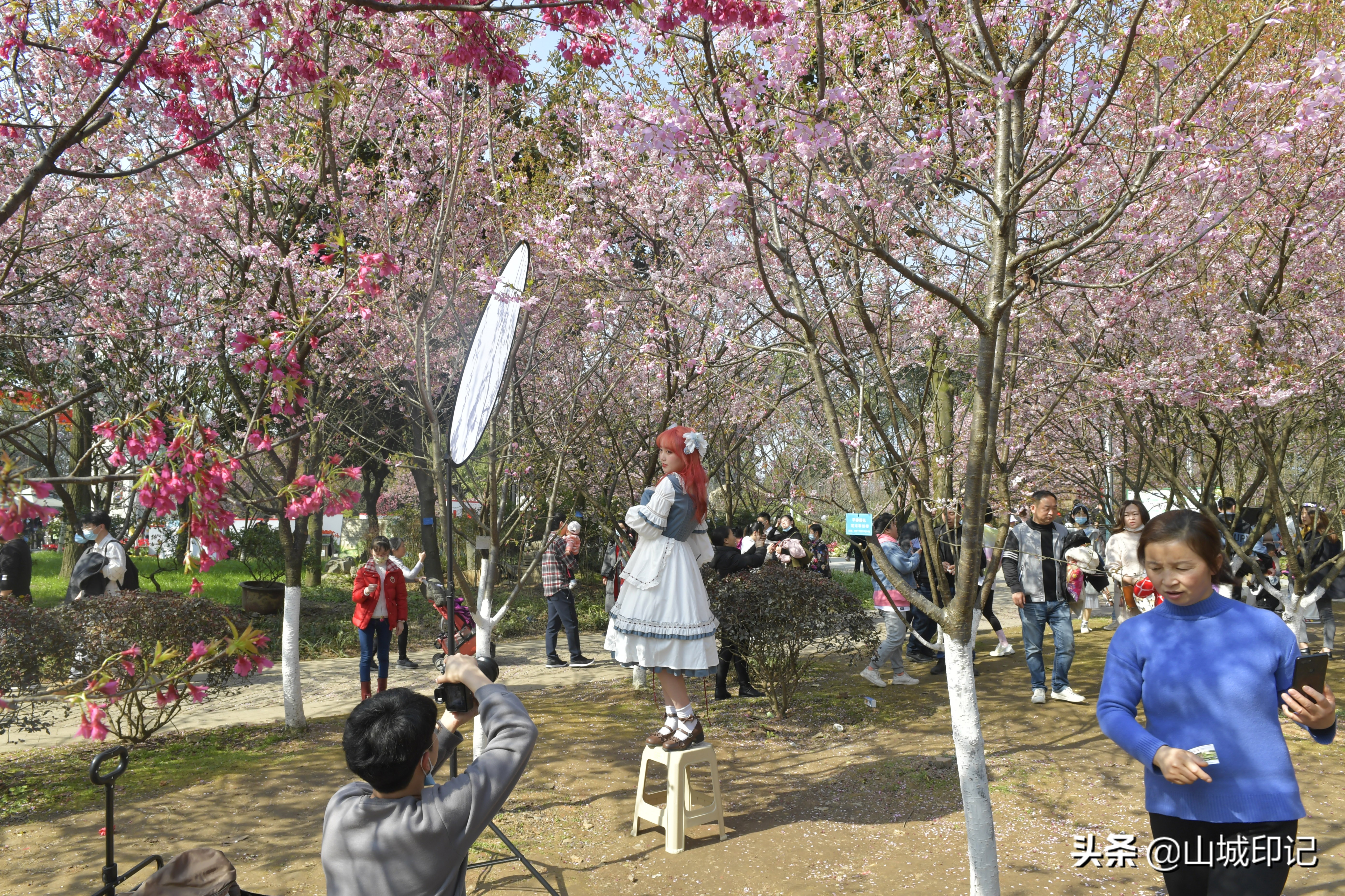 穿日本和服很美很好看,日系和服与樱花拍照姿势