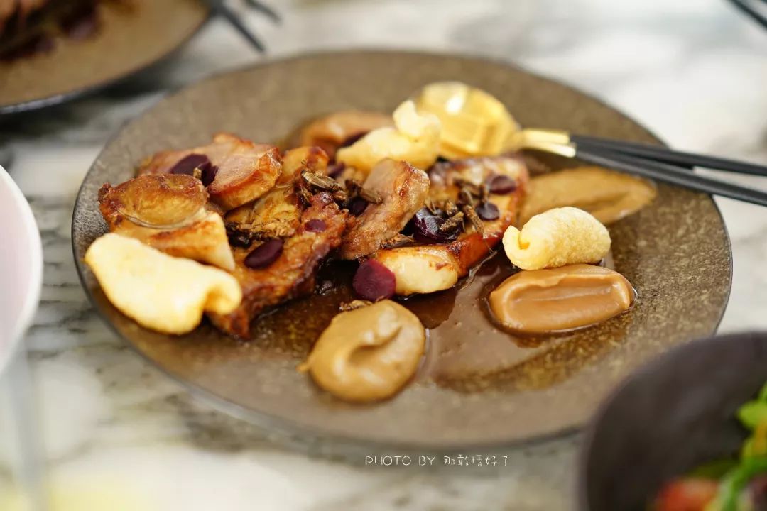 去哪里旅游可以看南极企鹅,旅游攻略南极看企鹅