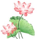 阜新阳光大姐有哪些,阳光大姐母婴护理成绩怎么算及格