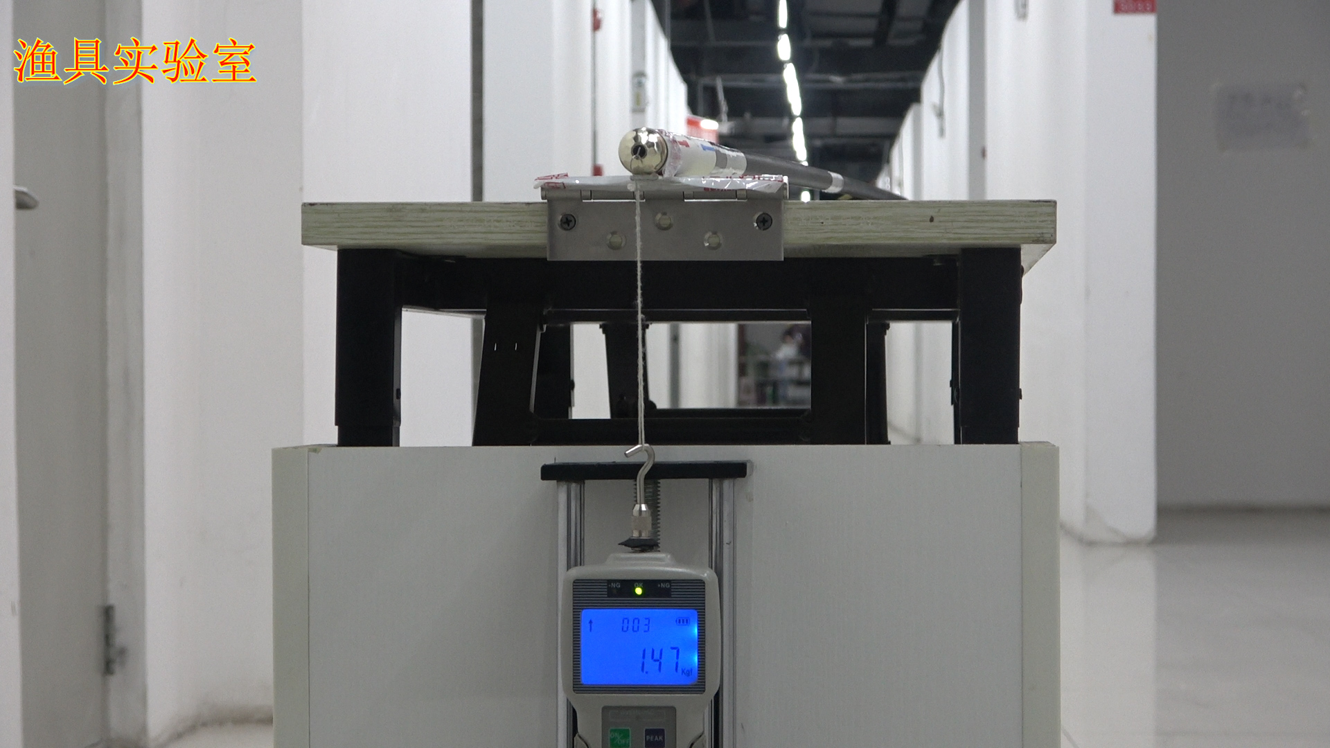 圣格轻刃鲤价格,圣格轻刃鲤多少钱