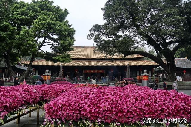 中国唯一一个真正的佛教寺院,享誉中外的佛教寺院