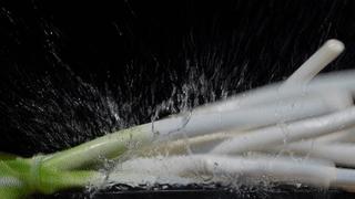 一条鱼卖出12000000份！这家人气鱼锅终于来合肥啦