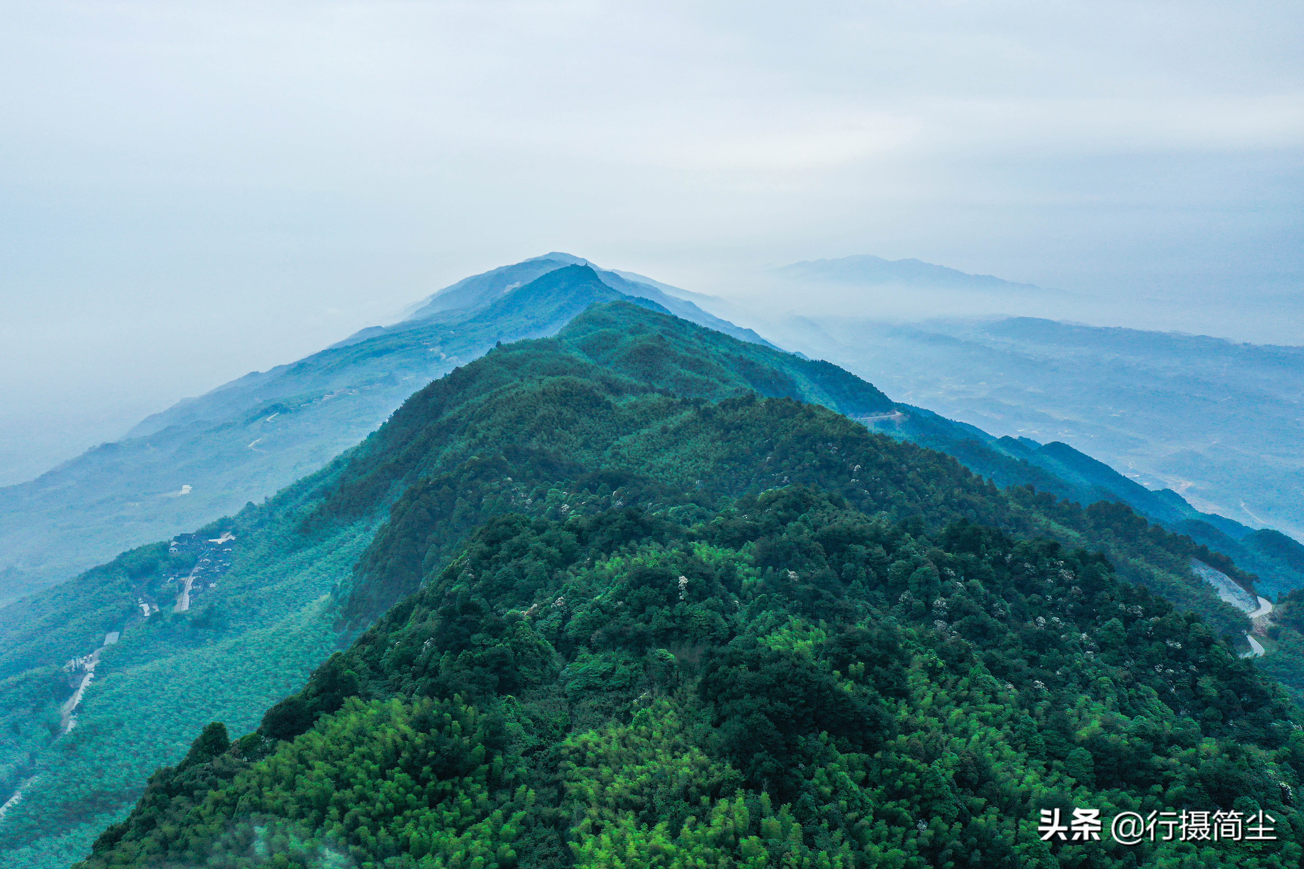 永川茶山竹海，茶山含情，竹海溢笑