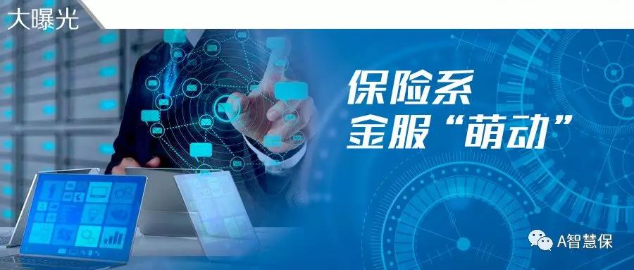 保险系金服平台“萌动”|平安金服发力“内部生财”,涉及13.8亿