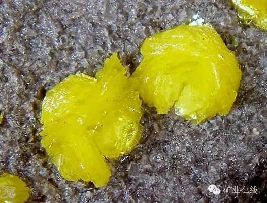 常见的矿物岩石有哪些,4种最常见于岩石里的矿物