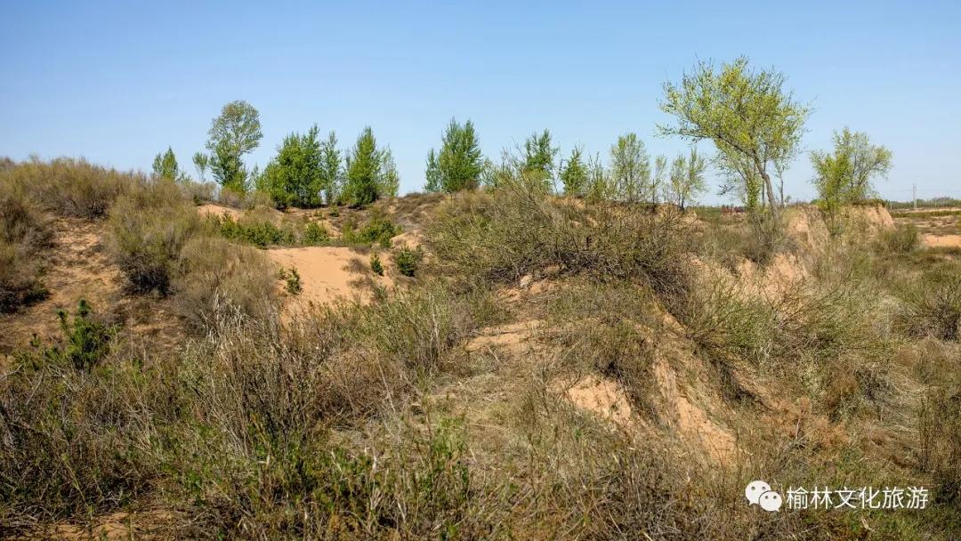 榆阳区周末游玩推荐,榆林芹河旅游